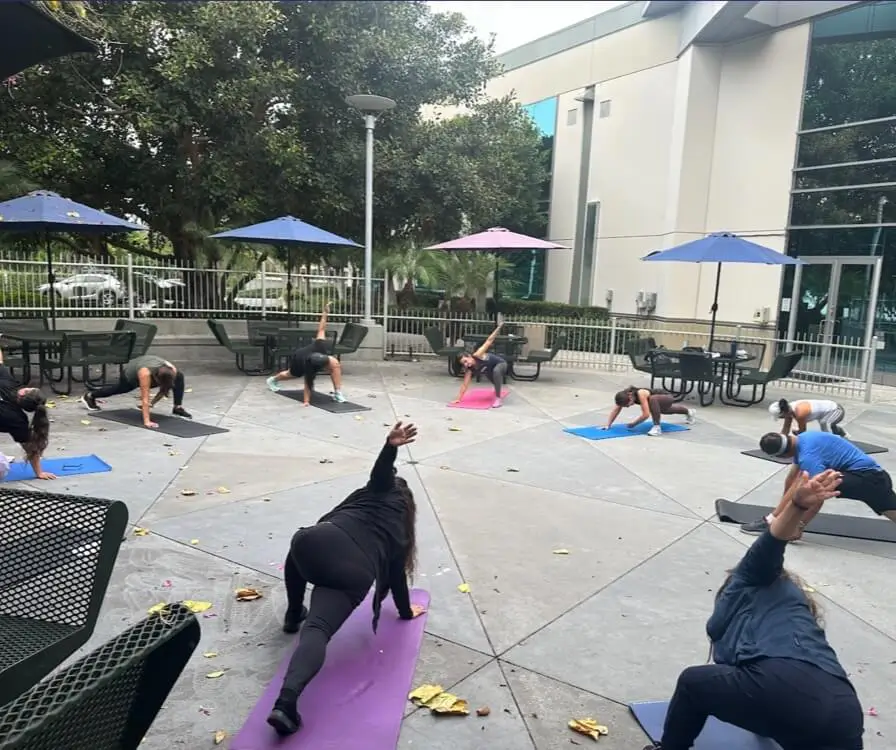 Morning patio stretch and body weight class